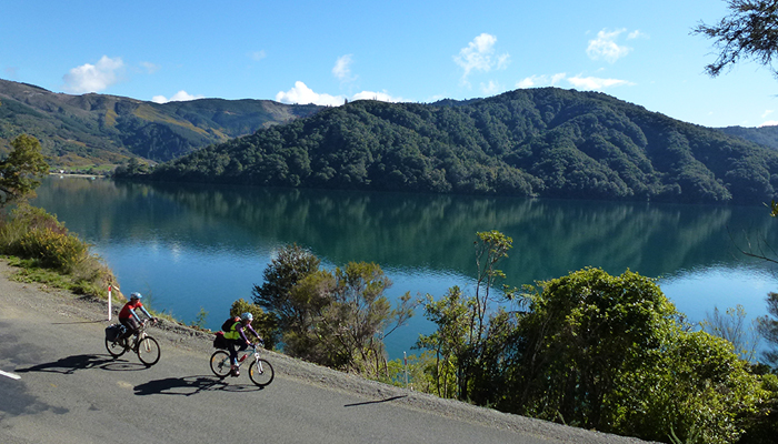 queen charlotte drive