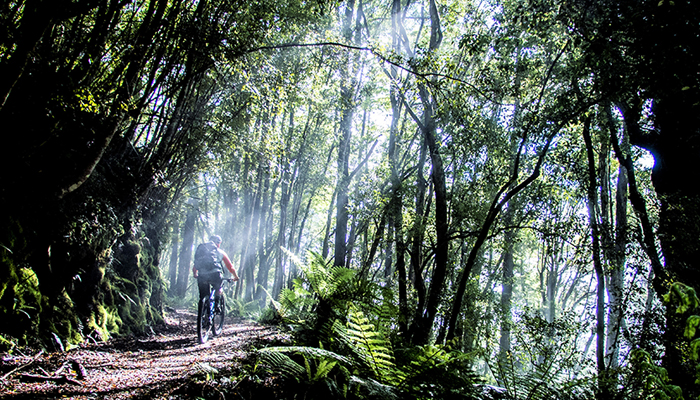 westport to old ghost